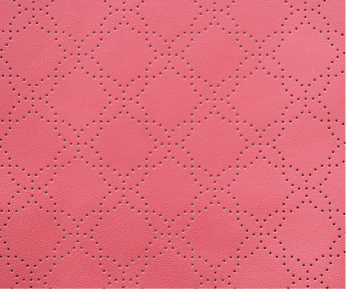 Automatic High-speed Plate Mount Perforation Machine